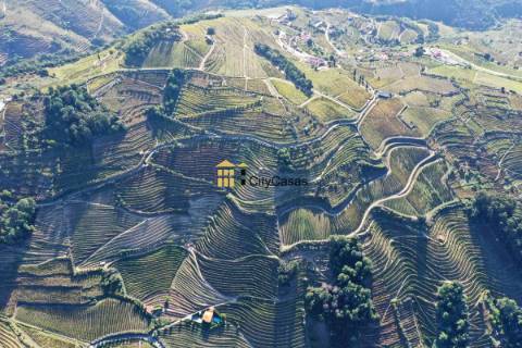 Quinta no Douro Vinhateiro com 15,6 hectares