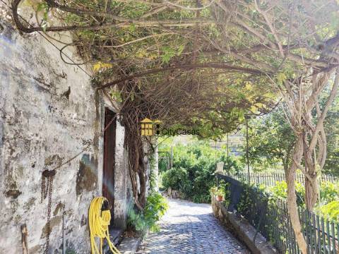 Quinta no Douro Vinhateiro com 15,6 hectares