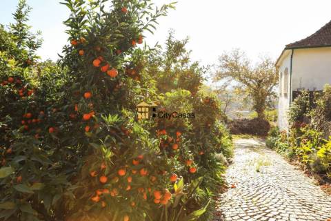 Quinta no Douro Vinhateiro com 15,6 hectares