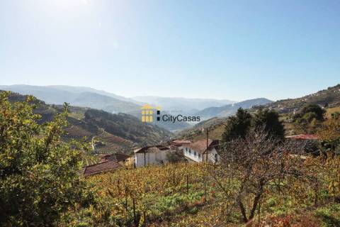 Quinta no Douro Vinhateiro com 15,6 hectares