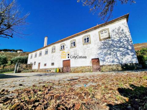 Quinta no Douro Vinhateiro com 15,6 hectares