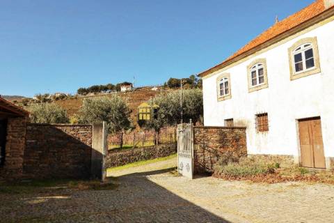Quinta no Douro Vinhateiro com 15,6 hectares