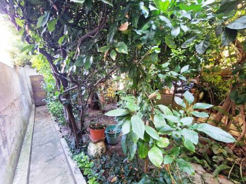 Moradia Térrea T2 com Quintal | Centro de Ermesinde