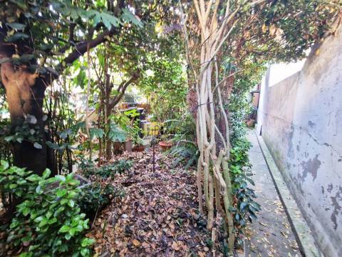 Moradia Térrea T2 com Quintal | Centro de Ermesinde