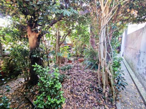 Moradia Térrea T2 com Quintal | Centro de Ermesinde