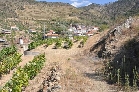 Quintinha no alto douro vinhateiro - vistas sobre o rio