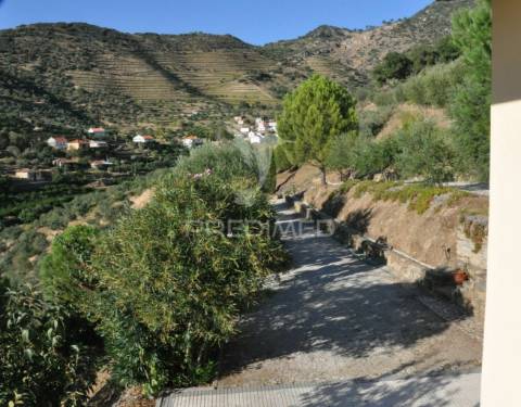 Quintinha no alto douro vinhateiro - vistas sobre o rio