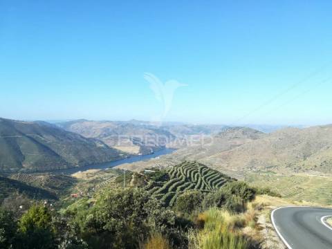 Quintinha no alto douro vinhateiro - vistas sobre o rio