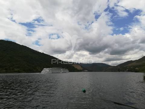 Quintinha no alto douro vinhateiro - vistas sobre o rio