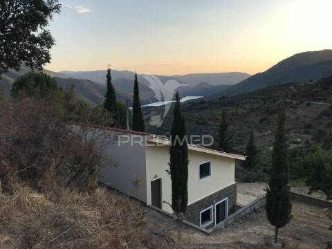 Quintinha no alto douro vinhateiro - vistas sobre o rio