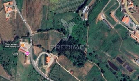 Terreno rústico com 2,48ha no cadaval