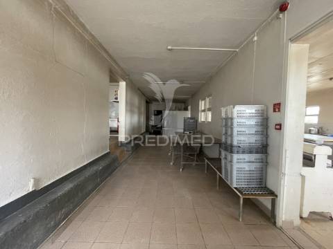 Estabelecimento industrial