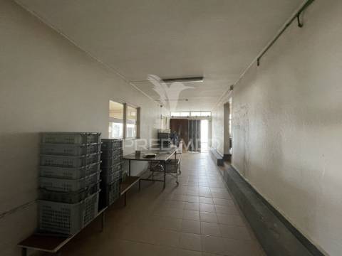 Estabelecimento industrial