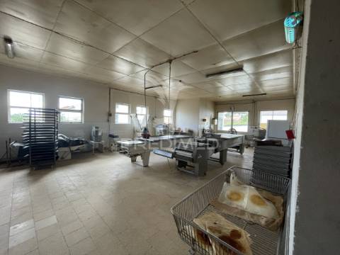 Estabelecimento industrial