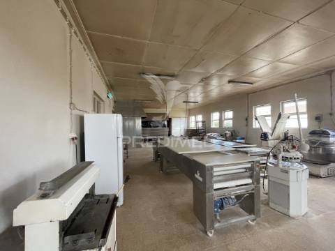 Estabelecimento industrial