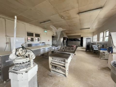 Estabelecimento industrial