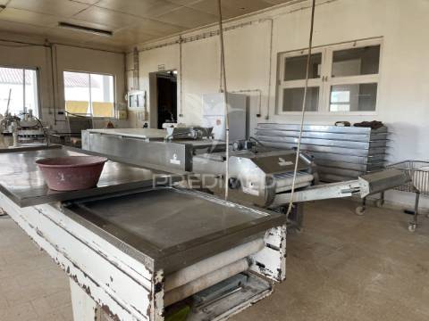 Estabelecimento industrial