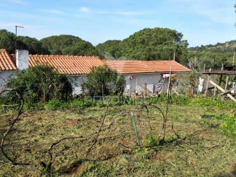 Quintinha com 6723m2 em santiago do cacém