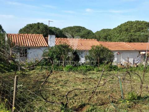 Quintinha com 6723m2 em santiago do cacém