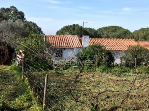 Quintinha com 6723m2 em santiago do cacém