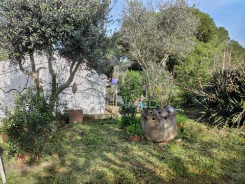 Quintinha com 6723m2 em santiago do cacém