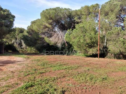 Quintinha com 6723m2 em santiago do cacém