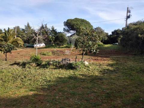 Quintinha com 6723m2 em santiago do cacém