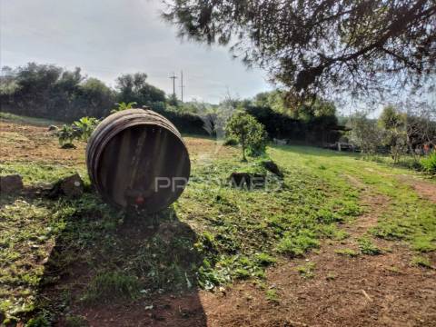 Quintinha com 6723m2 em santiago do cacém