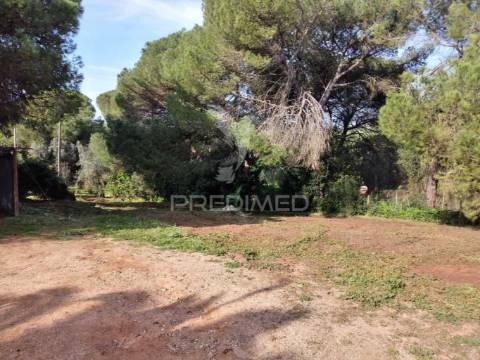 Quintinha com 6723m2 em santiago do cacém