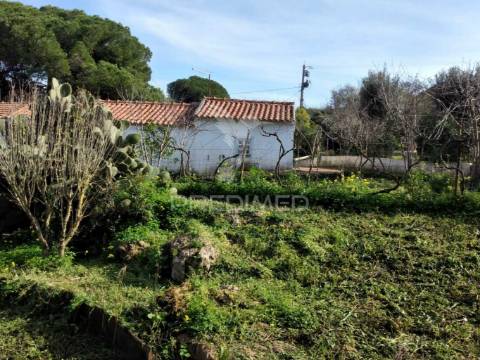 Quintinha com 6723m2 em santiago do cacém