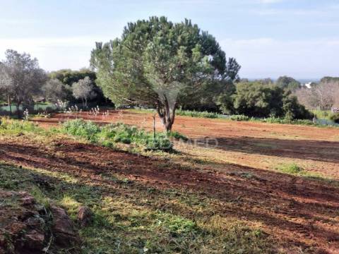 Quintinha com 6723m2 em santiago do cacém