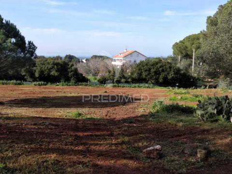 Quintinha com 6723m2 em santiago do cacém