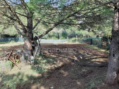 Quintinha com 6723m2 em santiago do cacém