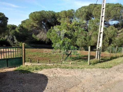 Quintinha com 6723m2 em santiago do cacém