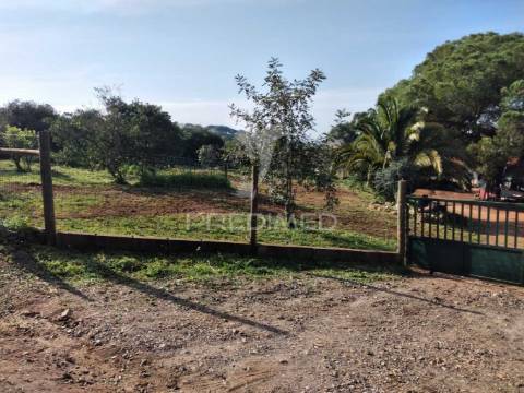 Quintinha com 6723m2 em santiago do cacém