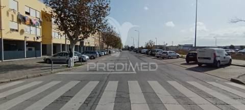 Loja na quinta fonte da prata, alhos vedros