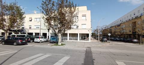 Loja na quinta fonte da prata, alhos vedros