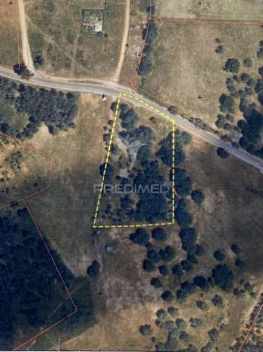 Terreno exclusivo – oportunidade única de investimento