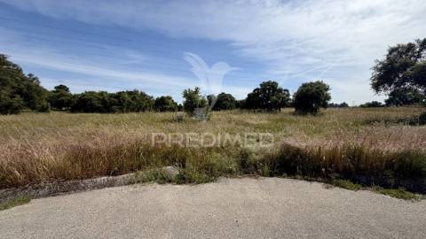 Terreno rústico com 9.200 m² | quinta do anjo