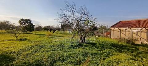 Terreno rustico de 7.320m2 em cabanas, palmela