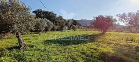 Terreno rustico de 7.320m2 em cabanas, palmela