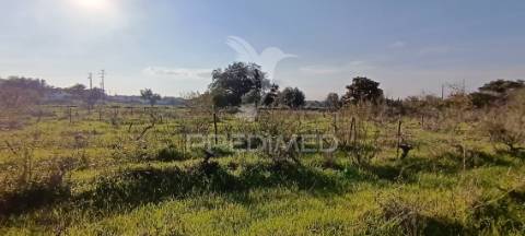 Terreno rustico de 7.320m2 em cabanas, palmela