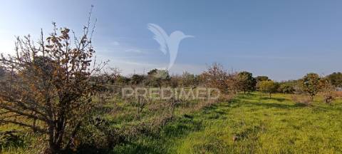 Terreno rustico de 7.320m2 em cabanas, palmela