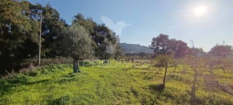 Terreno rustico de 7.320m2 em cabanas, palmela