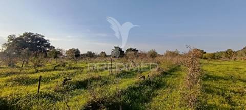 Terreno rustico de 7.320m2 em cabanas, palmela