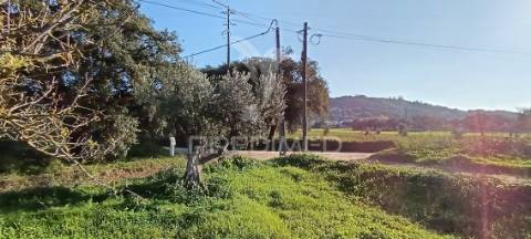 Terreno rustico de 7.320m2 em cabanas, palmela