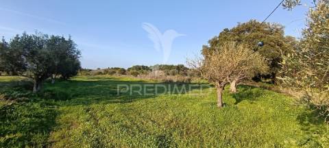 Terreno rustico de 7.320m2 em cabanas, palmela