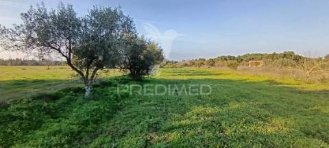 Terreno rustico de 7.320m2 em cabanas, palmela