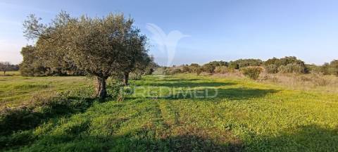 Terreno rustico de 7.320m2 em cabanas, palmela