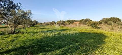 Terreno rustico de 7.320m2 em cabanas, palmela